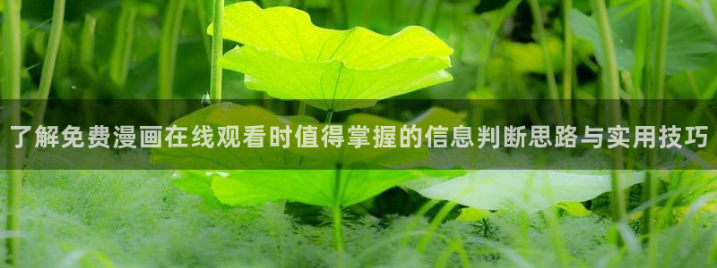 漫画岛网站入口大全