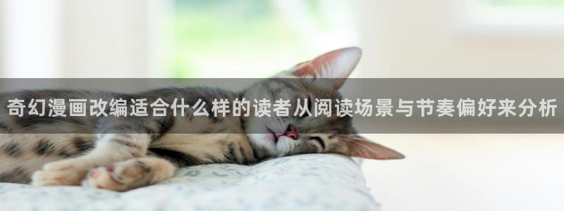 漫画岛网页
