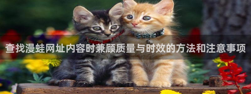 漫画岛首页入口