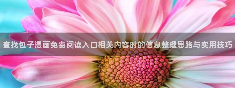 漫画岛入口导航